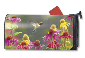 MailWrap with hummingbird hovering among a patch of pink and yellow coneflowers