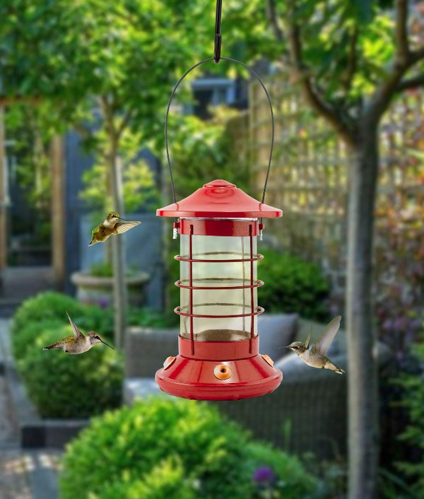  Red Arrow Whole Peanut Blue Jay Feeder