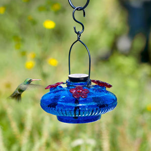 Glass Bloom Hummingbird Feeder