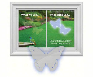 Butterfly Transparent static-cling window decals (Window strike deterrent)