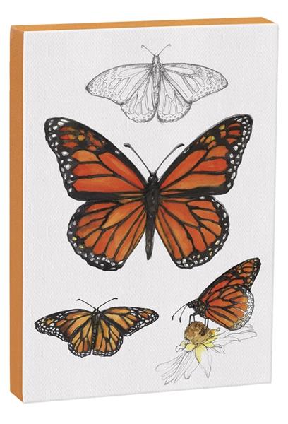 Monarch Butterfly 5x7 Canvas Wall Art