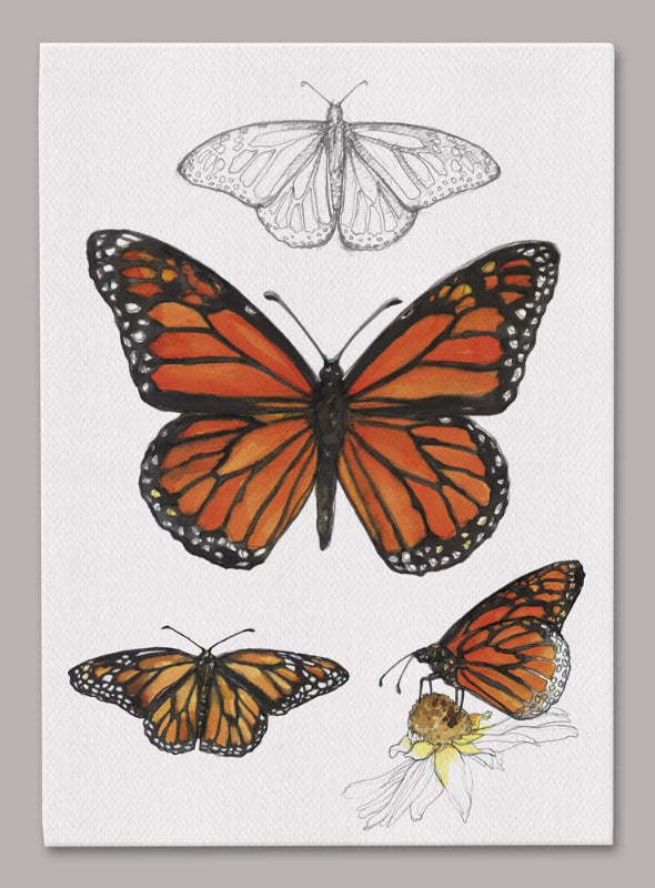 Butterfly Art, Miniature Drawing, high quality Monarch Butterfly Wall Art