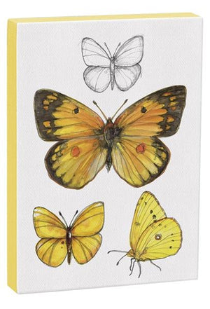Orange Sulphur Butterfly 5x7 inch Canvas displaying sketched & colorfully illustrated Orange Sulphur Butterflies