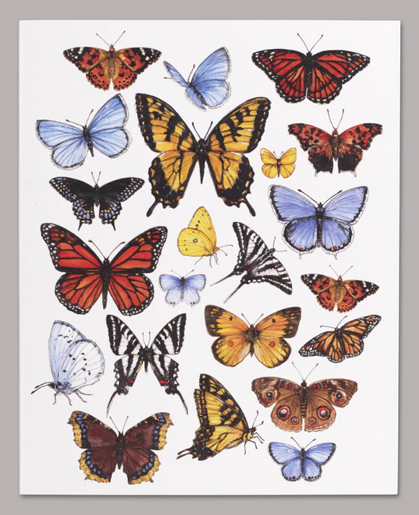 Spring Azure Butterfly 5x7 Canvas Wall Art - Perch Birding Gifts