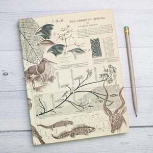 Evolution Hardcover Notebook with Dot Grid Paper