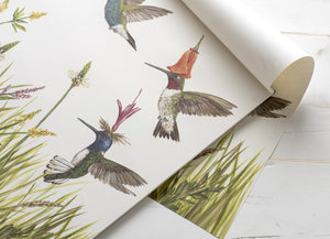 Meadow Buzz Hummingbirds Paper Placemats