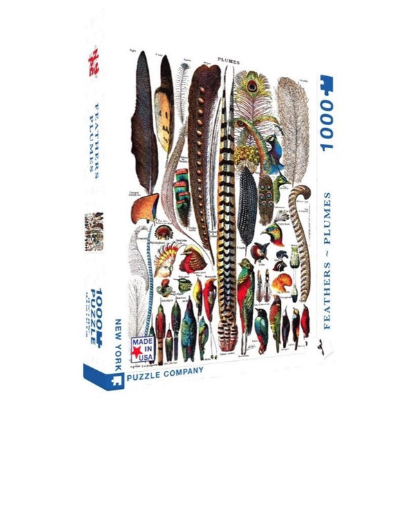 Feathers store and plumes