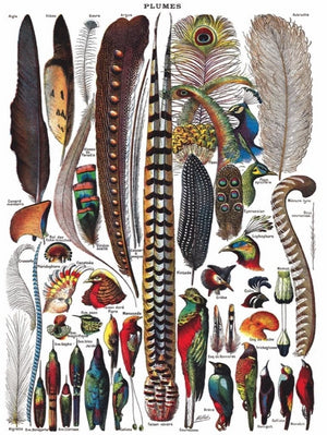 Bird Feathers & Plumes 1000 piece Puzzle