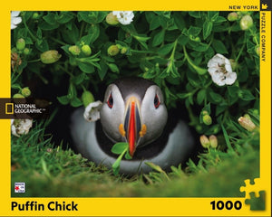 Puffin Chick 1000 Piece Puzzle