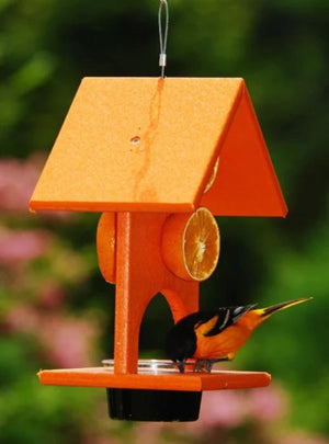 Fruit and Jelly Oriole Feeder