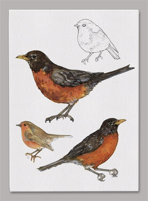 American Robin 5x7 inch Canvas displaying sketched & colorfully illustrated Robins 
