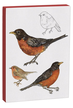 American Robin 5x7 inch Canvas displaying sketched & colorfully illustrated Robins 