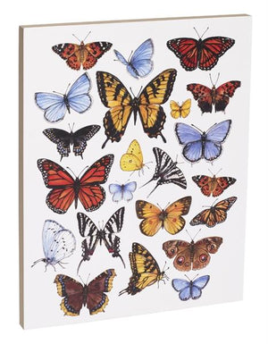 Butterfly Study 16x20 inch Canvas displaying sketched & colorfully illustrated butterflies