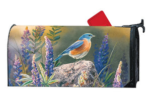 MailWrap with bluebird sitting on rock looking out over purple flowers