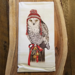 Owl with Snow Hat