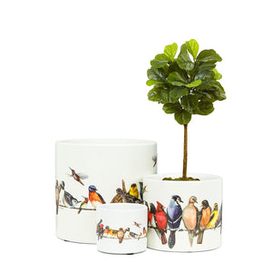 Birds on Wire Planter (Extra Small)
