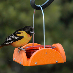 This Going Green Recycled Plastic Oriole Feeder by Woodlink is a MUST HAVE for any backyard birdwatcher!