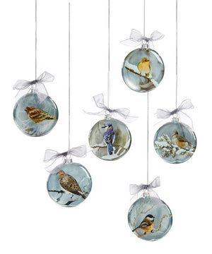 Glass Christmas Bird Design Disc Ornaments - 6 Assorted Bird Designs