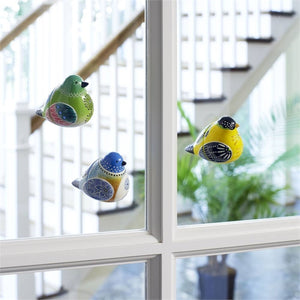 Bird Song Collection Screen Magnets displayed on glass window pane