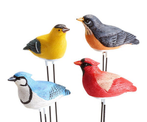 Moisture Meter w/Light Sensor and Sound - 4 assorted bird types include Blue Jay, Goldfinch, Cardinal, Robin