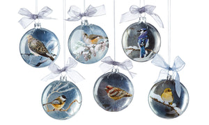 Glass Christmas Bird Design Disc Ornaments - 6 Assorted Bird Designs