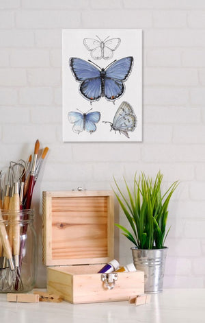 Eastern Tailed-Blue Butterfly 5x7 Canvas Wall Art displayed on wall