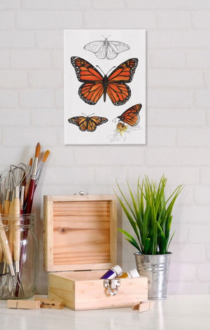 Monarch Butterfly 5x7 Canvas Wall Art displayed hanging on the wall