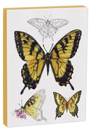 Tiger Swallowtail Butterfly 5x7 inch Canvas displaying sketched & colorfully illustrated Tiger Swallowtail Butterflies