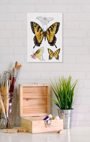 Tiger Swallowtail Butterfly 5x7 Canvas Wall Art displayed on wall