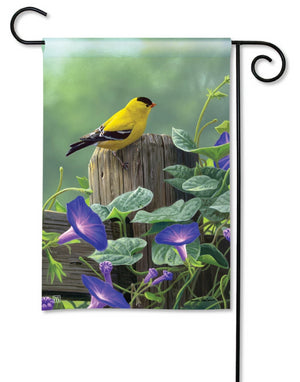 Goldfinch on Morning Glory Perch Garden Flag