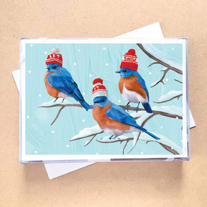 Three Bluebirds Greeting Card Holiday Boxed Set - 15 Cards