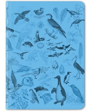 Front Cover of Birds Hardcover Notebook with Dot Grid Paper