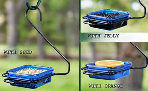 Hanging Jelly & Mealworm feeder with blue dish