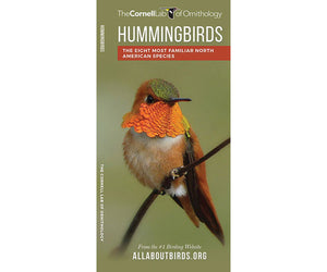 Hummingbirds of North America Folding Pocket Guide