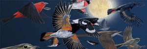 Flat artwork of the Nocturnal Migration 500 Piece Puzzle