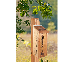 Novelty Wine Crate Bluebird House shown hanging on post outside