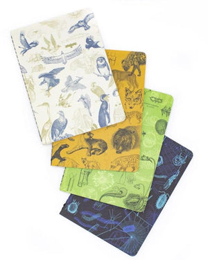 Carnivores Pocket Notebooks includes four designs per pack - colors include white, mustard, green and blue