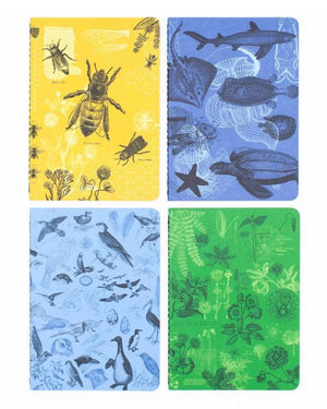 Research Series Life Science Pocket Notebooks Set of 4 designs include: 1 Bees, 1 Marine Biology, 1 Birds and 1 Botany