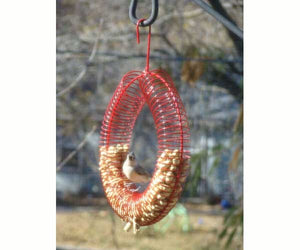 RED Whole Peanut Wreath Ring